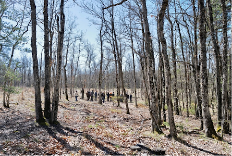 Site expérimental de la Jeannette à Saint Christol d’Albion (84)